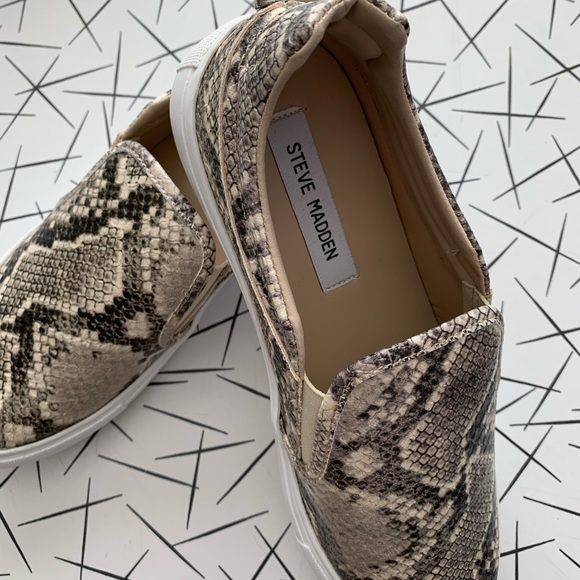 STEVE MADDEN SNAKE PRINT SNEAKERS - Picture 1 of 5